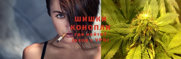 дурь Бронницы