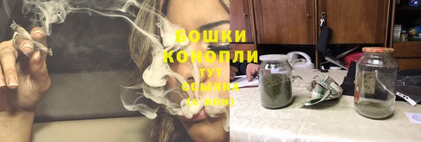 дурь Бронницы