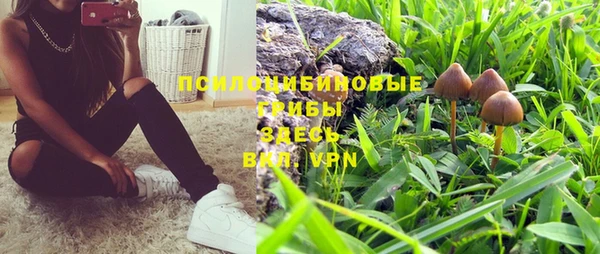 не бодяженный Верея