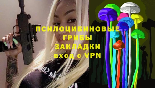 дурь Бронницы