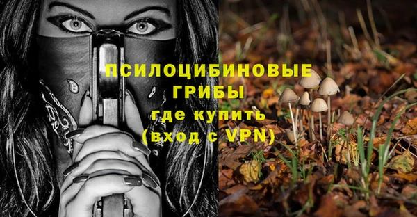 дурь Бронницы
