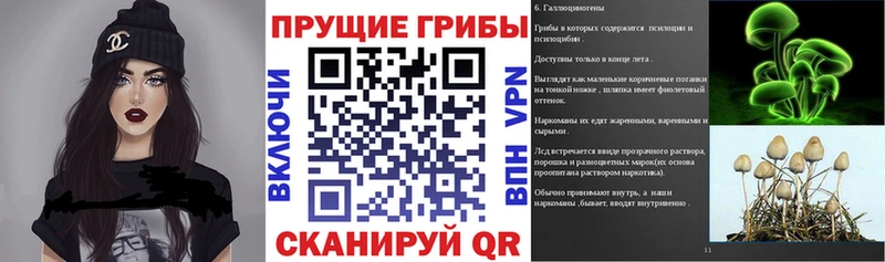 закладки  Иркутск  Галлюциногенные грибы ЛСД 